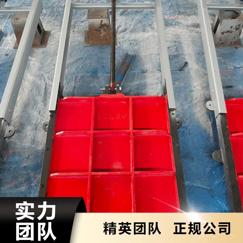启闭机闸门-螺杆式闸门启闭机耐用可靠