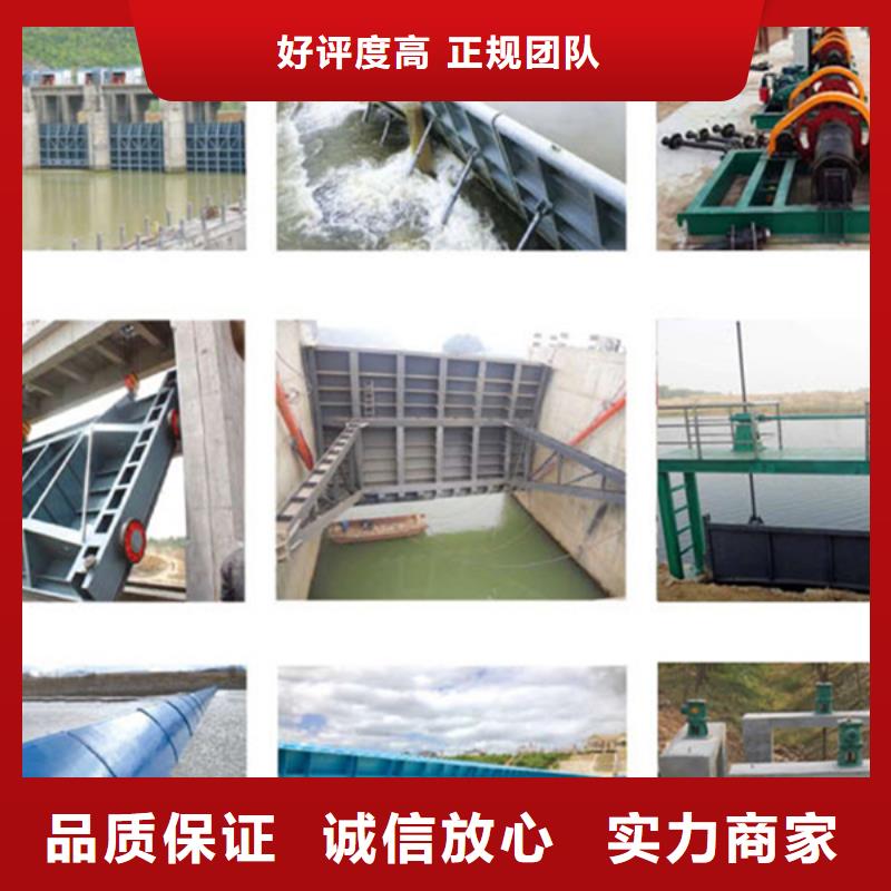 水电站闸门_双向止水铸铁闸门-供应商价格