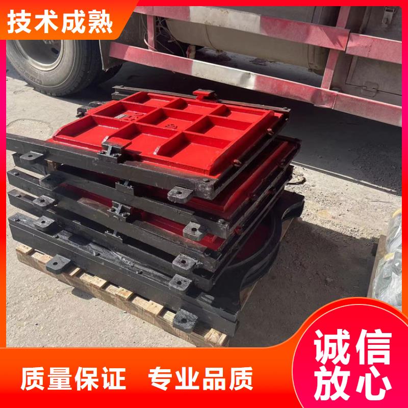 启闭机闸门-墙式镶铜铸铁闸门技术领先