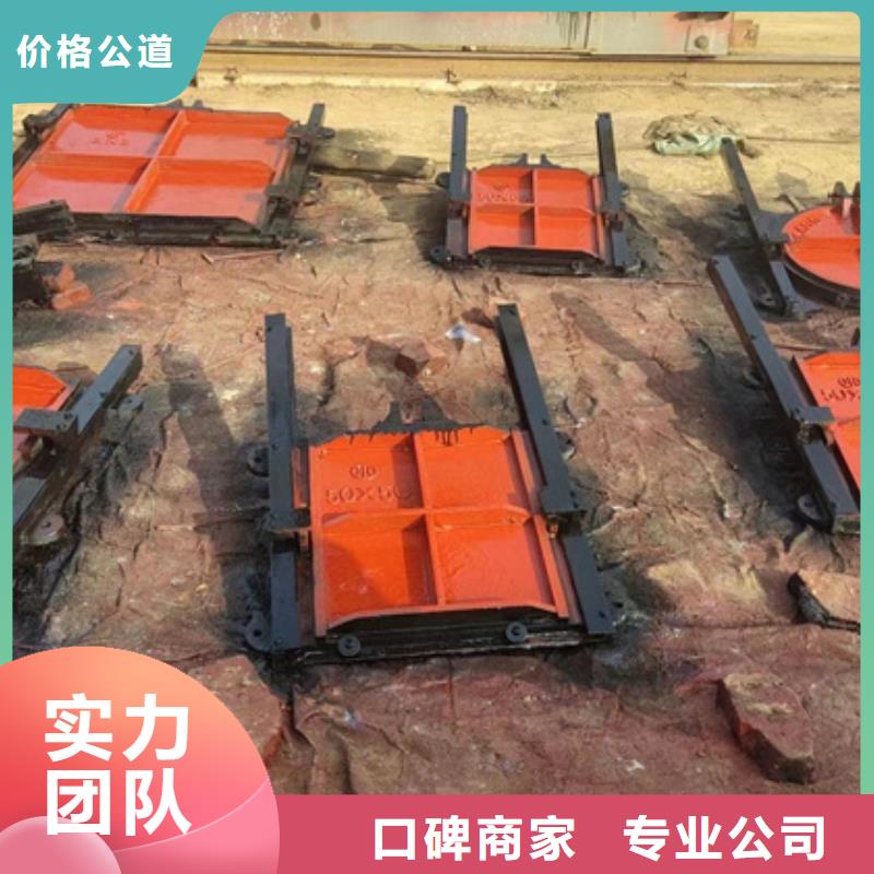 铸铁闸门-PGZ渠道铸铁闸门环保型