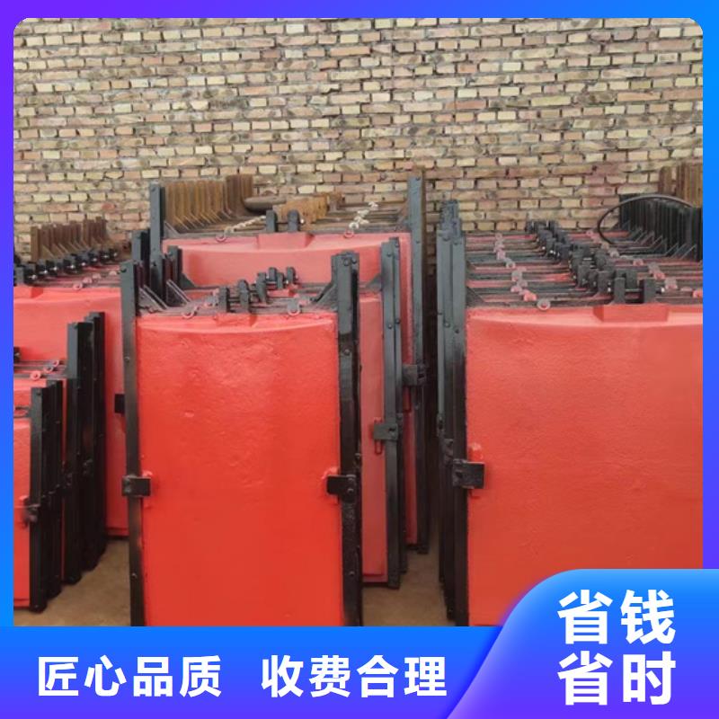 启闭机闸门-平面铸铁闸门值得信赖