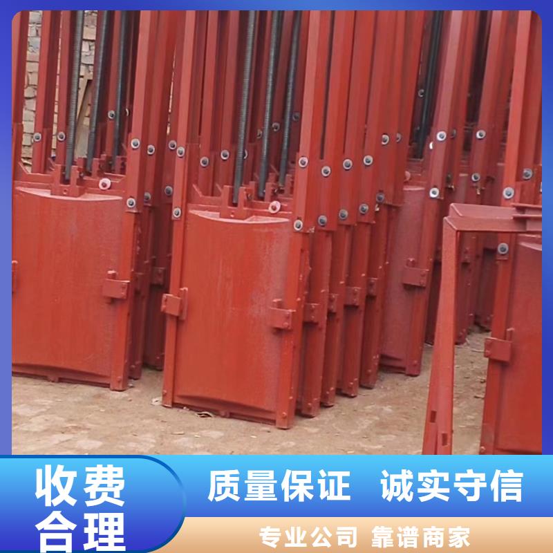 一体铸铁闸门-量大价优