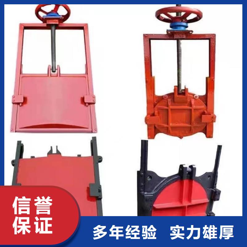 镶铜铸铁闸门源头好货