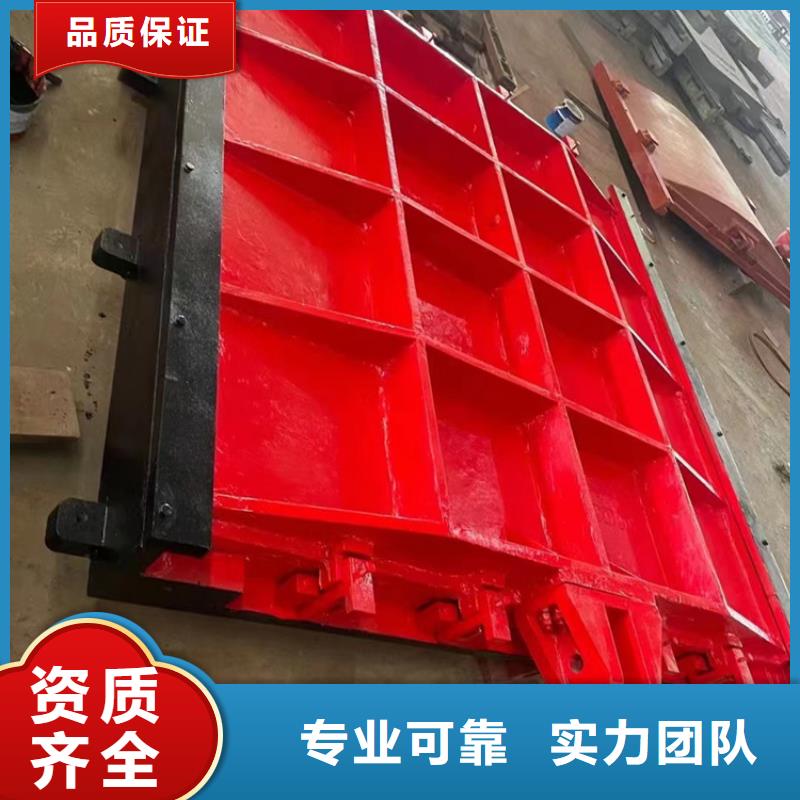平面拱形闸门-水电站闸门售后无忧