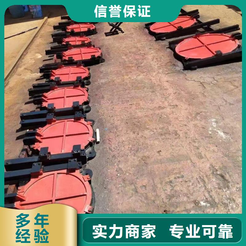 启闭机闸门-平板铸铁镶铜闸门一站式解决方案