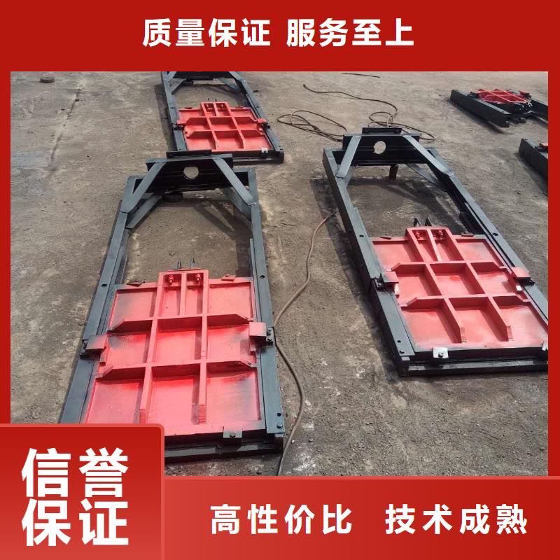 保亭县河道铸铁闸门-农田灌溉闸门定制化
