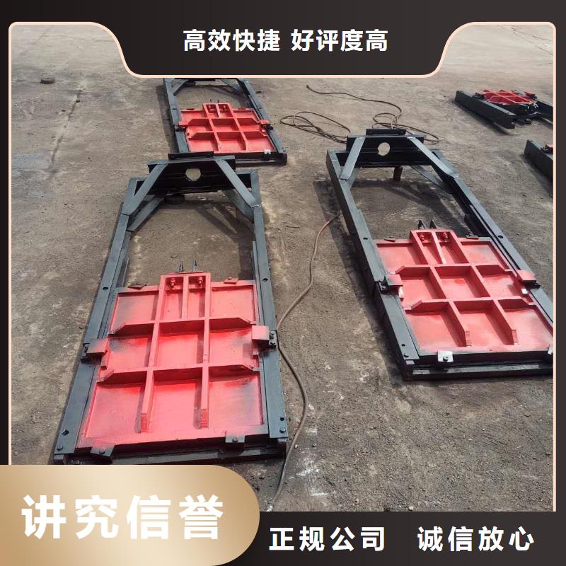 铸铁镶铜闸门优质之选