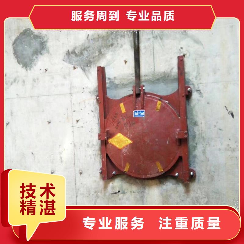 启闭机闸门-平面钢闸门防腐钢制闸门快速响应