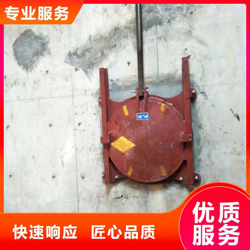 机门一体铸铁闸门货源足