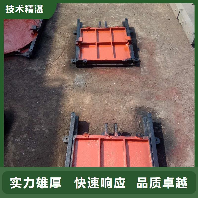 河道铸铁闸门-双向拦水铸铁闸门品质卓越