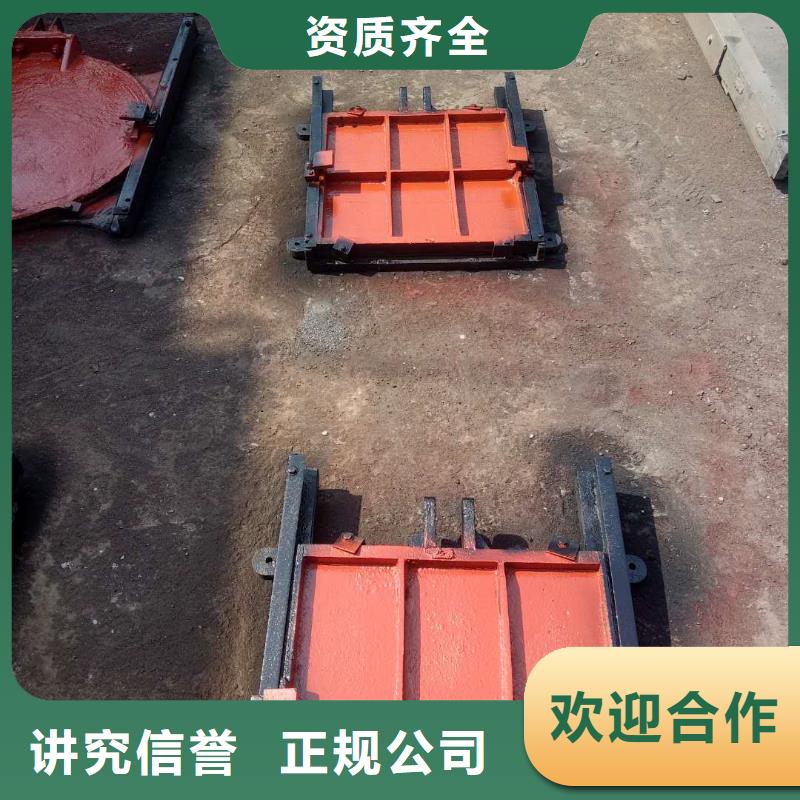 五指山市启闭机闸门-铸铁闸门螺杆启闭机定制化