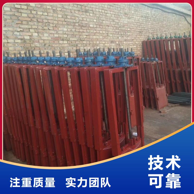 机门一体铸铁闸门特价销售