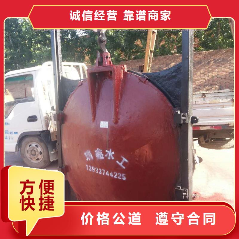 铸铁镶铜闸门-闸门启闭器技术领先