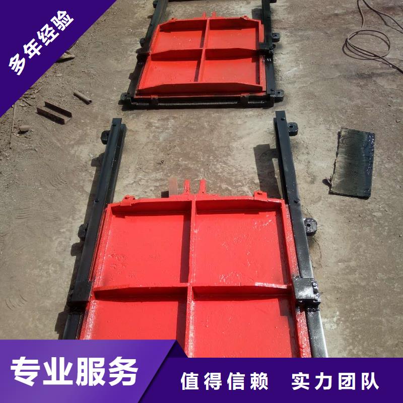 铸铁镶铜闸门-双向螺旋闸门实力雄厚