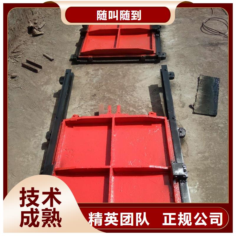 启闭机闸门-3米*3米铸铁闸门经久耐用