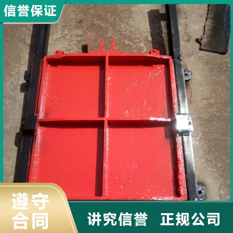 铸铁闸门-PGZ渠道铸铁闸门环保型