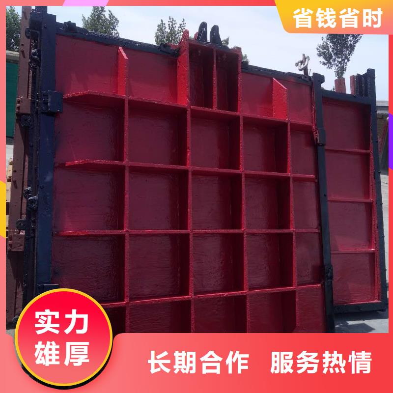 三沙市闸门启闭机-水道闸门售后无忧