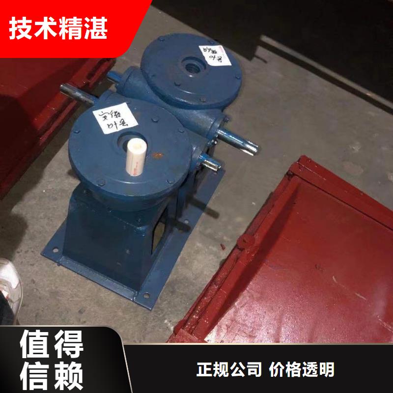 平面铸铁闸门_300圆形铸铁闸门[厂家价格]