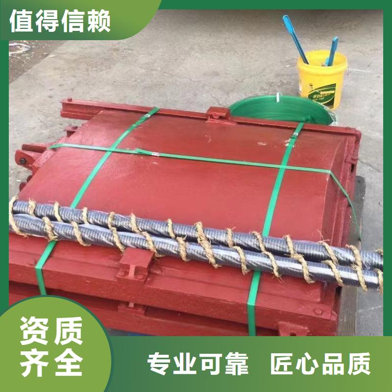 铸铁闸门-铸铁镶铜附壁闸门精益求精