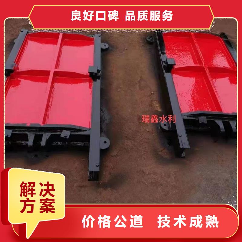启闭机闸门-双向铸铁镶铜闸门快速响应