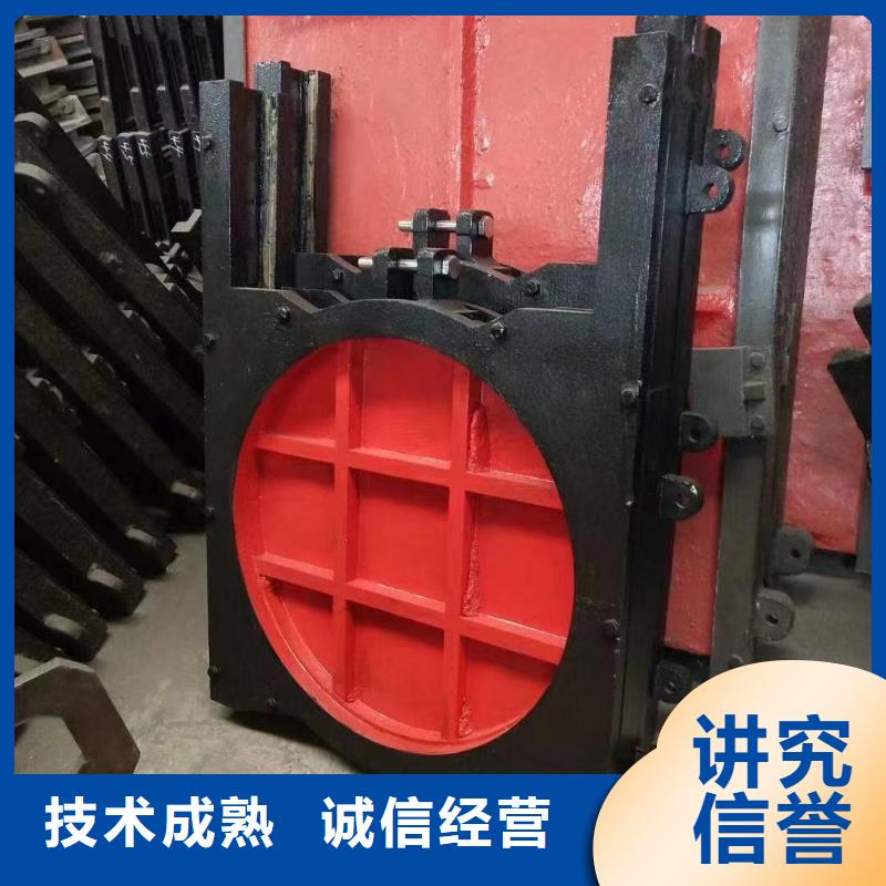 铸铁闸门-螺杆式闸门启闭机创新