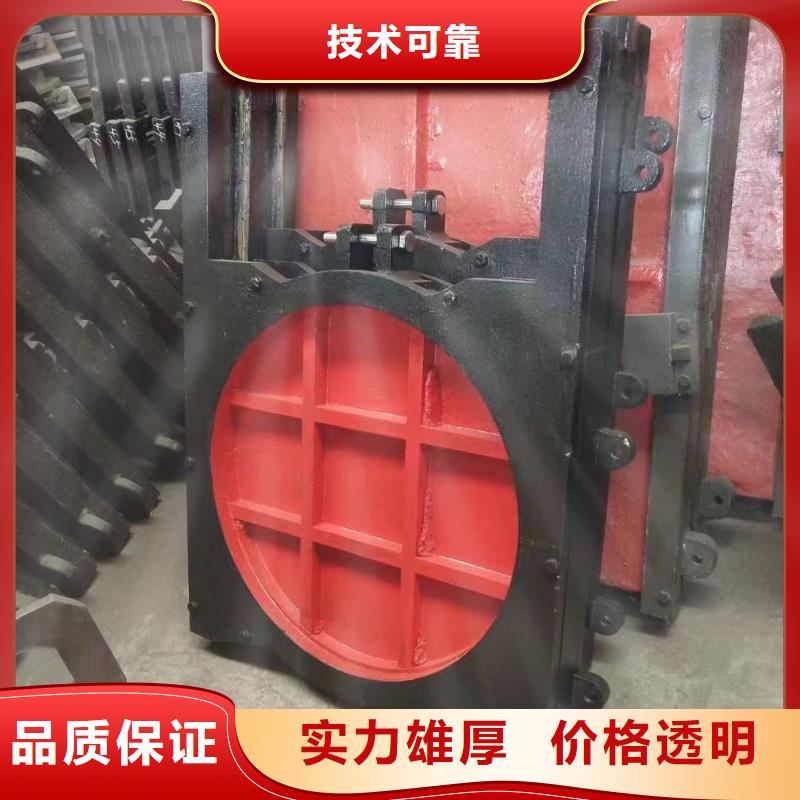 铸铁镶铜闸门优质之选