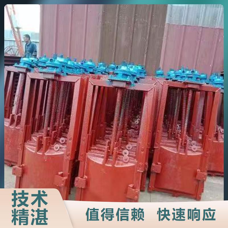 渠道闸门-PGZ渠道铸铁闸门精益求精