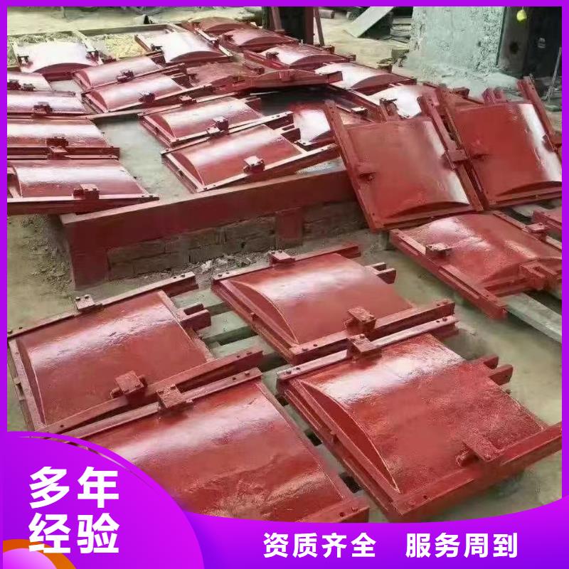 启闭机闸门-水电站启闭机闸门终身维护