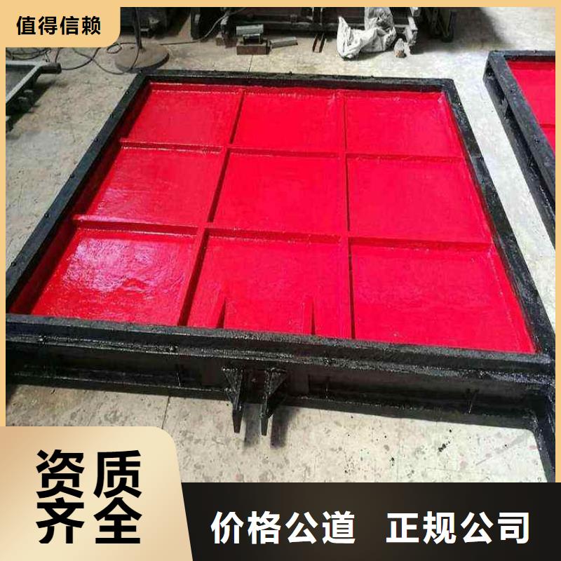 1200*1800铸铁镶铜闸门