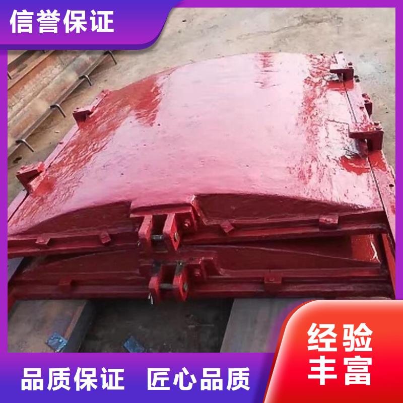 启闭机闸门-水电站闸门24小时售后服务