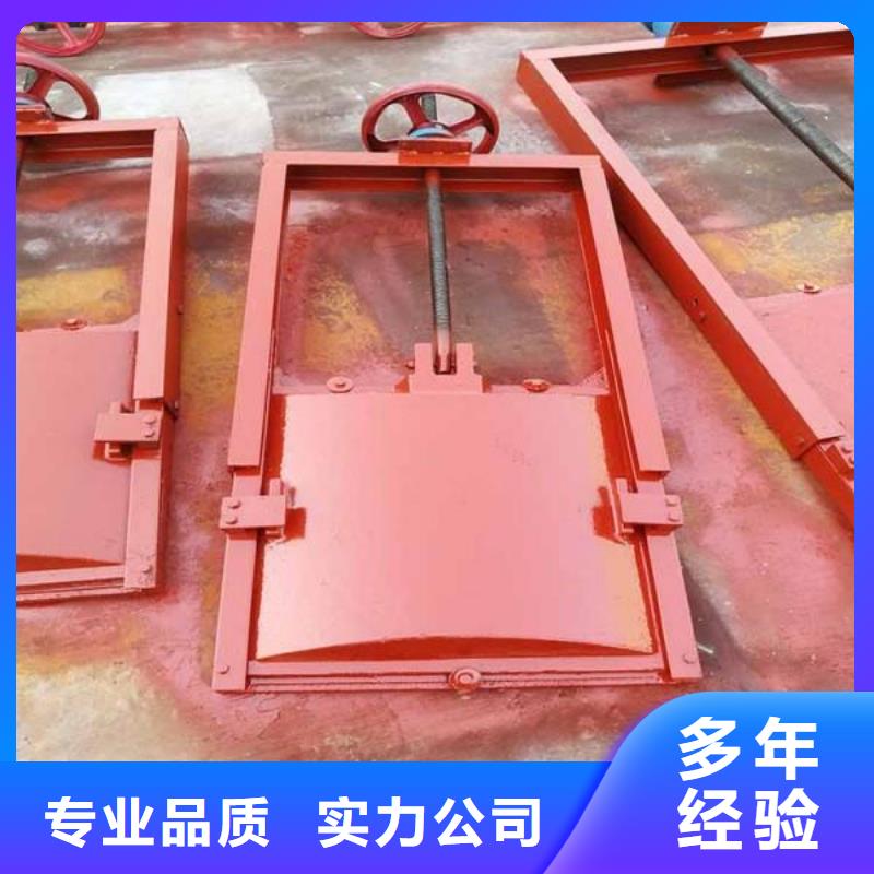 铸铁镶铜闸门-河道铸铁闸门源头厂家