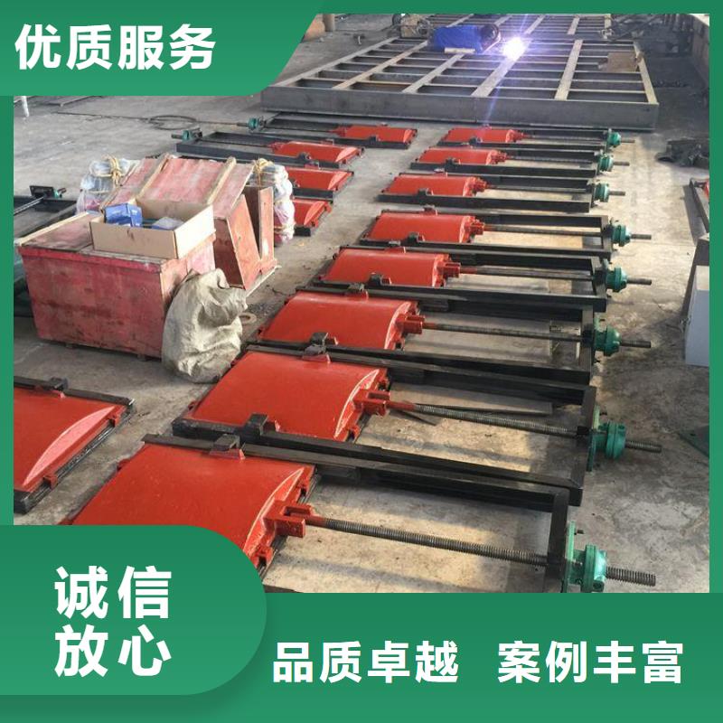快速:潜孔式钢闸门厂家