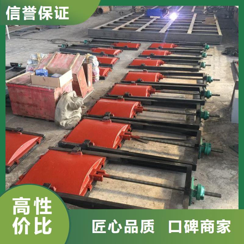 启闭机闸门-单向止水铸铁闸门环保型