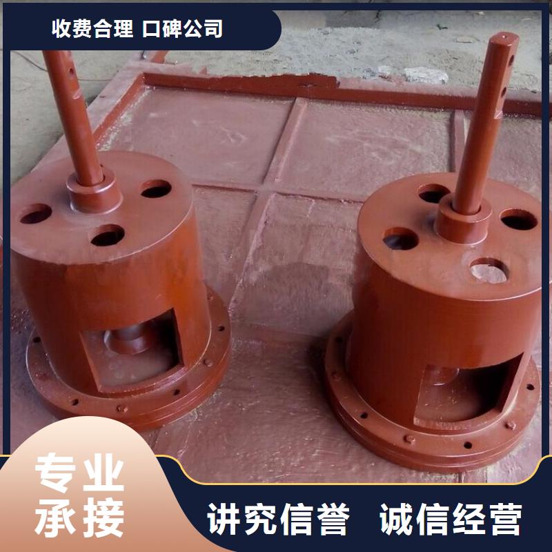 启闭机闸门-双向螺旋闸门一站式