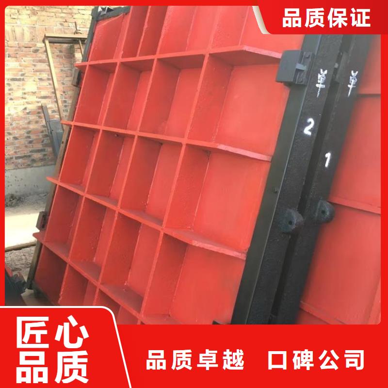 铸铁镶铜闸门-双向铸铁镶铜闸门老牌