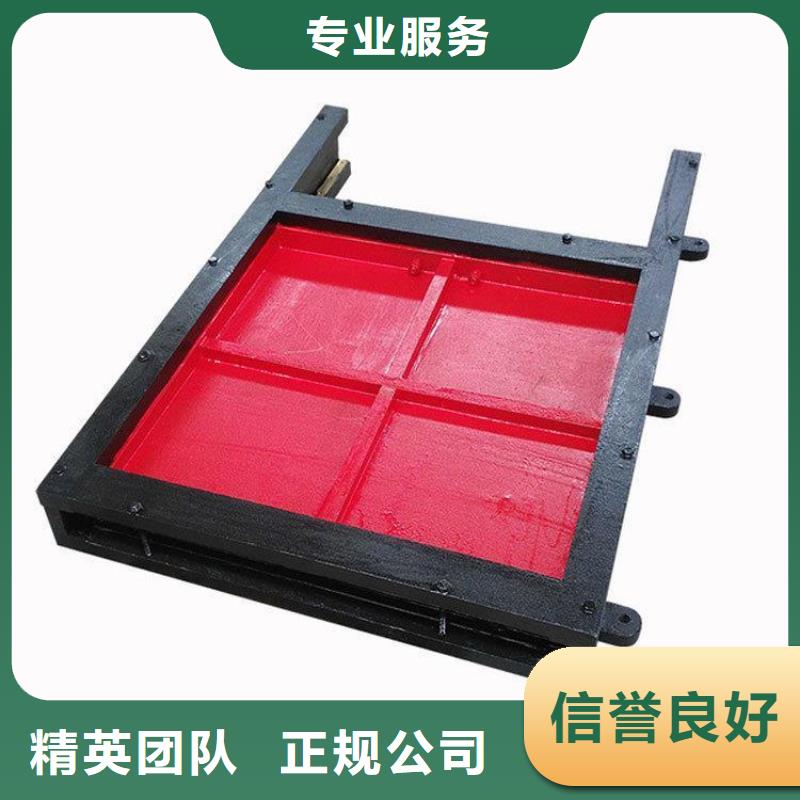 闸门启闭机_双向止水铸铁闸门-供应商价格
