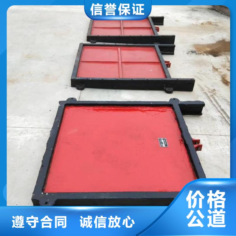 启闭机闸门-平面钢闸门防腐钢制闸门一站式