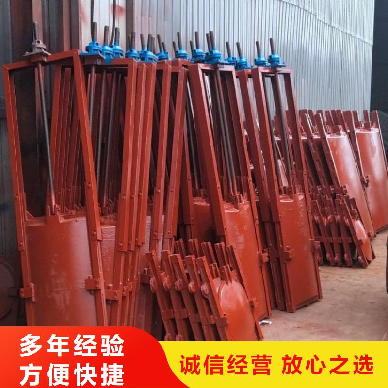 商城县铸铁镶铜闸门