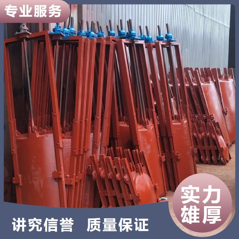 闸门启闭机-PGZ渠道铸铁闸门口碑极佳