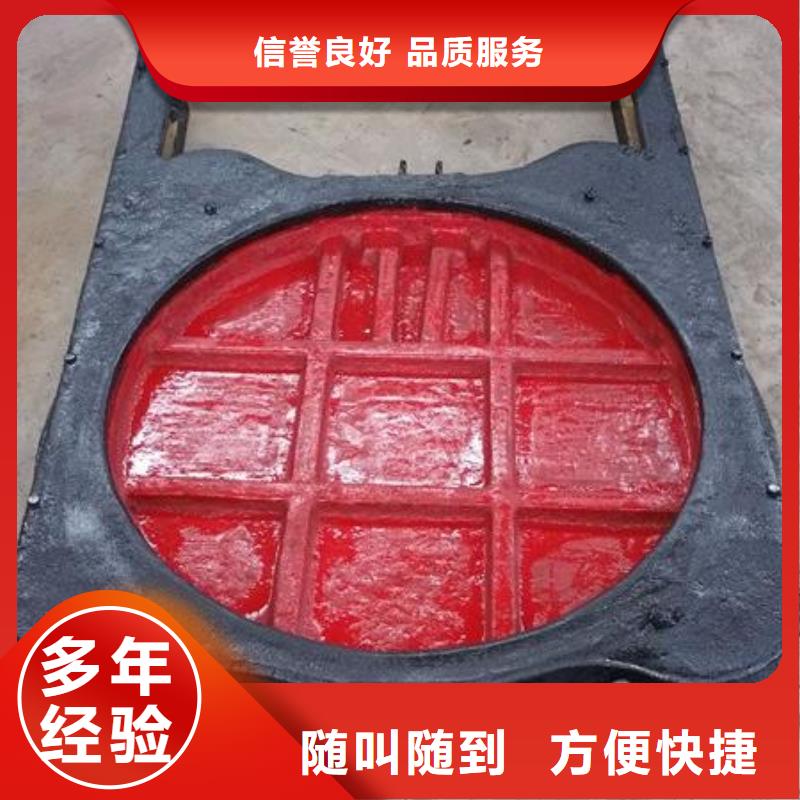 铸铁闸门-双向拦水铸铁闸门实力雄厚