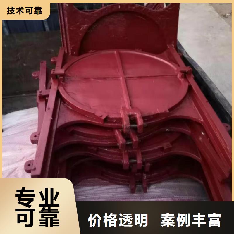 启闭机闸门-4米*4米铸铁闸门节能