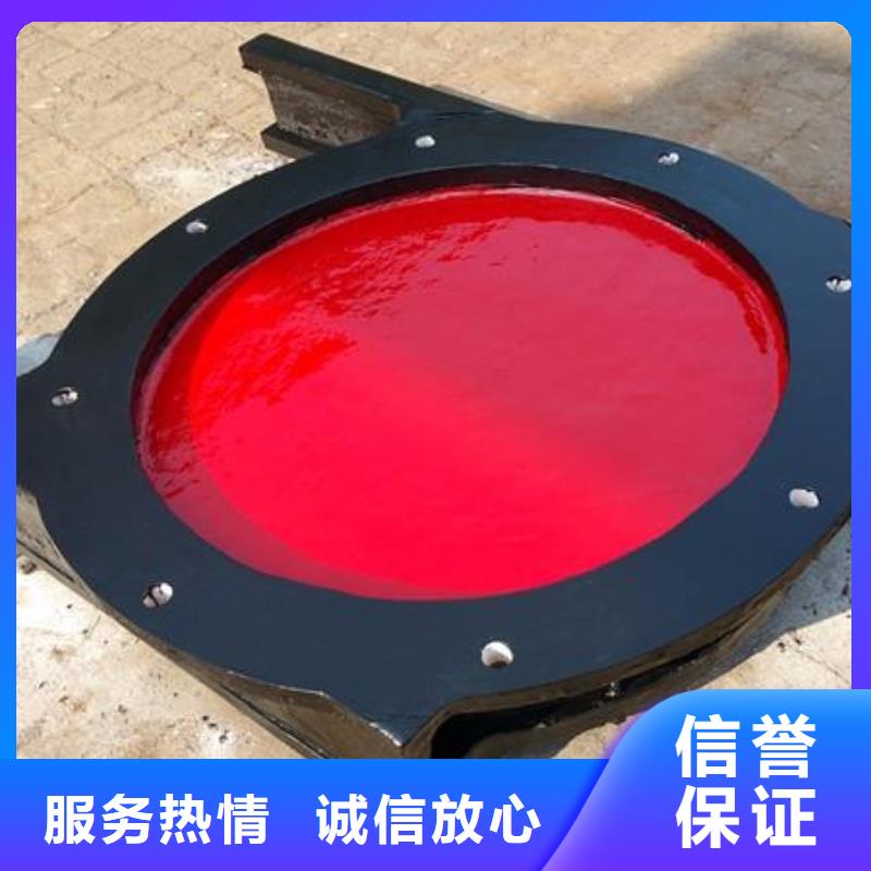 PGZ型铸铁闸门厂家