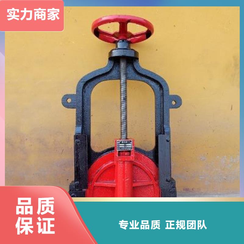 #铸铁镶铜闸门#-价格透明