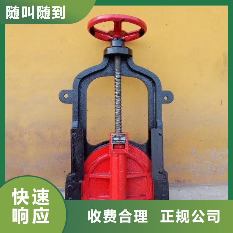 渠道闸门-铸铁单向止水闸门高品质
