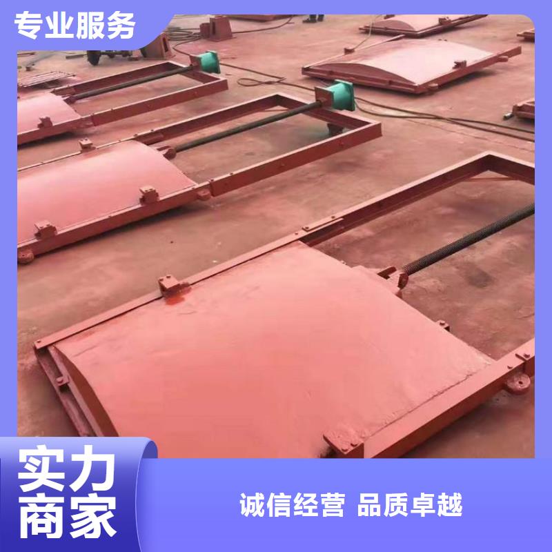 铸铁镶铜闸门包邮现货直销