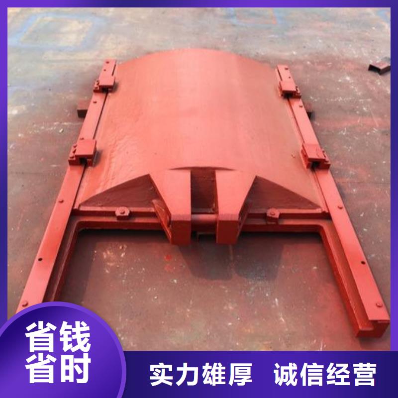 铸铁镶铜闸门-水利闸门启闭机精益求精