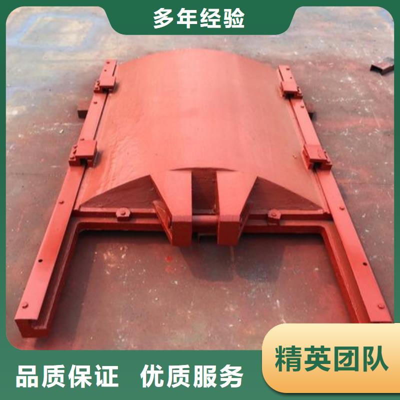 启闭机闸门-平面钢闸门防腐钢制闸门技术领先