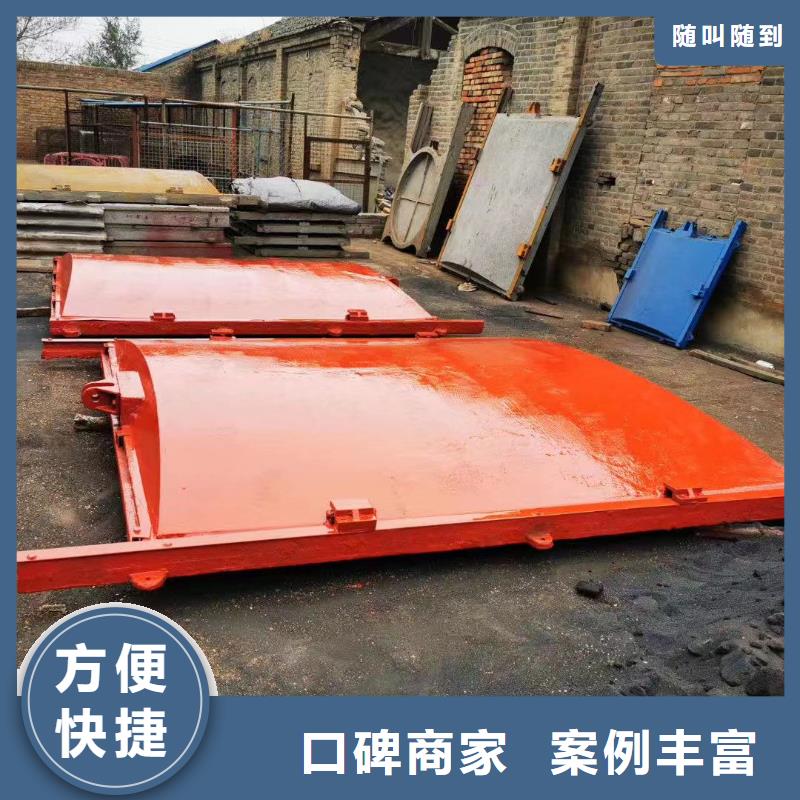 铸铁镶铜闸门-双向铸铁镶铜闸门老牌