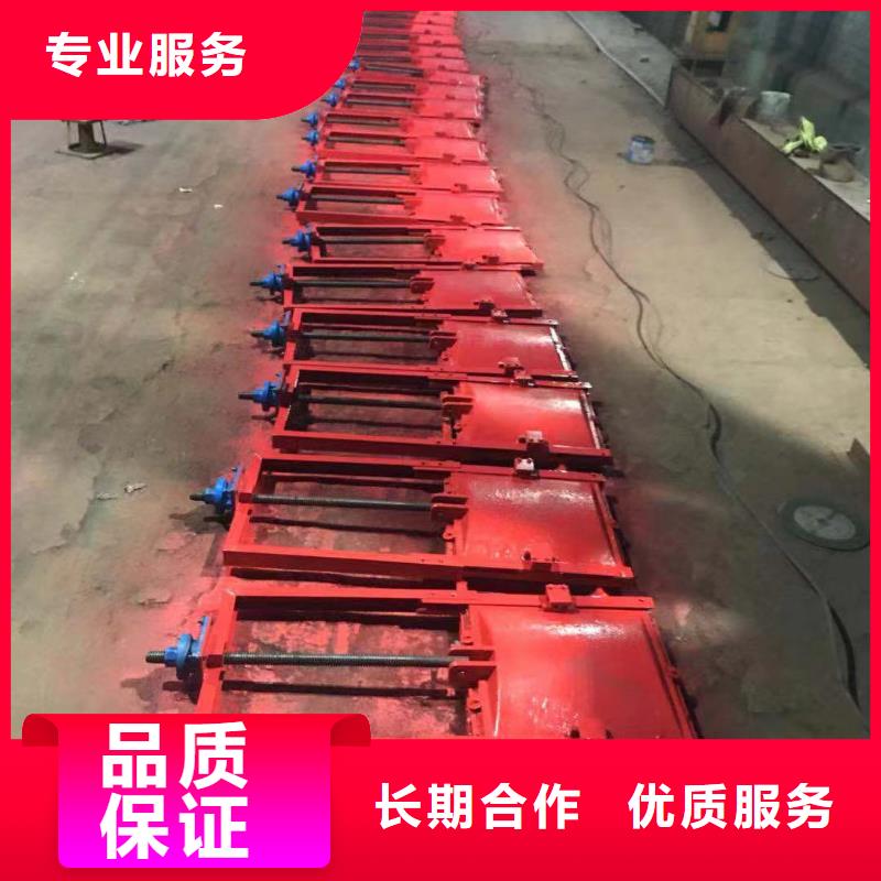 经验丰富的管道闸门批发商