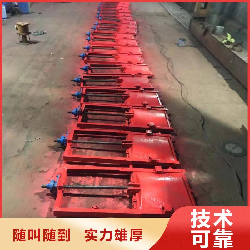 铸铁单向止水闸门市场行情